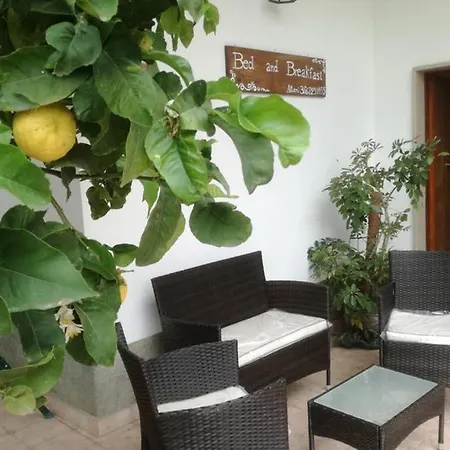 Casaaltieri * Santa Domenica Talao