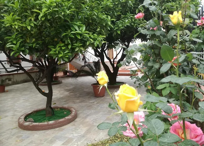 Apartamento Casaaltieri *